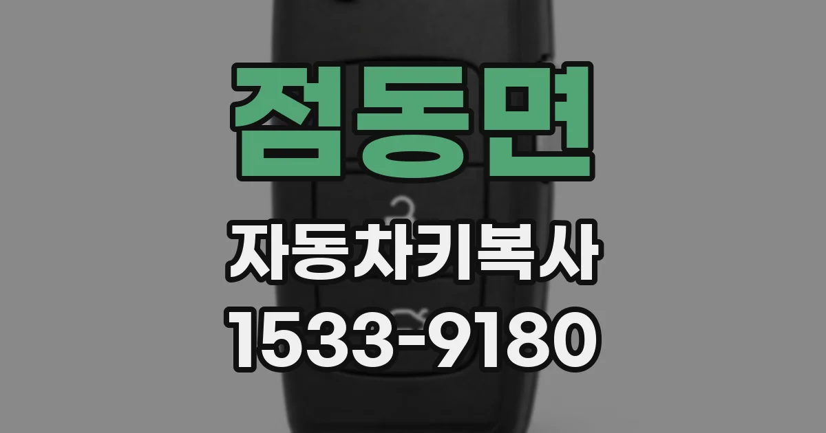 점동면 자동차키복사
