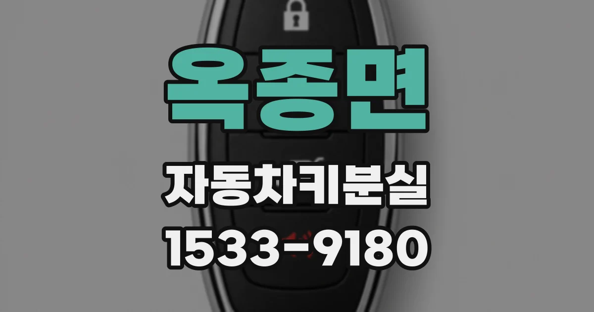 옥종면 자동차키분실