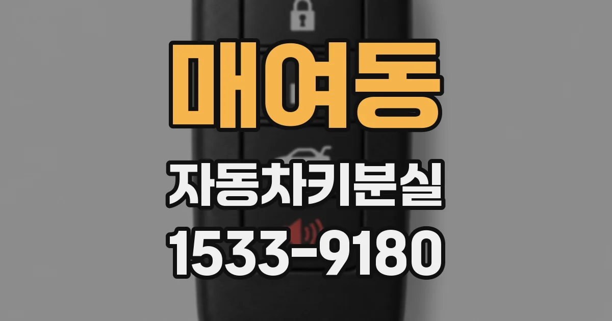 매여동 자동차키분실
