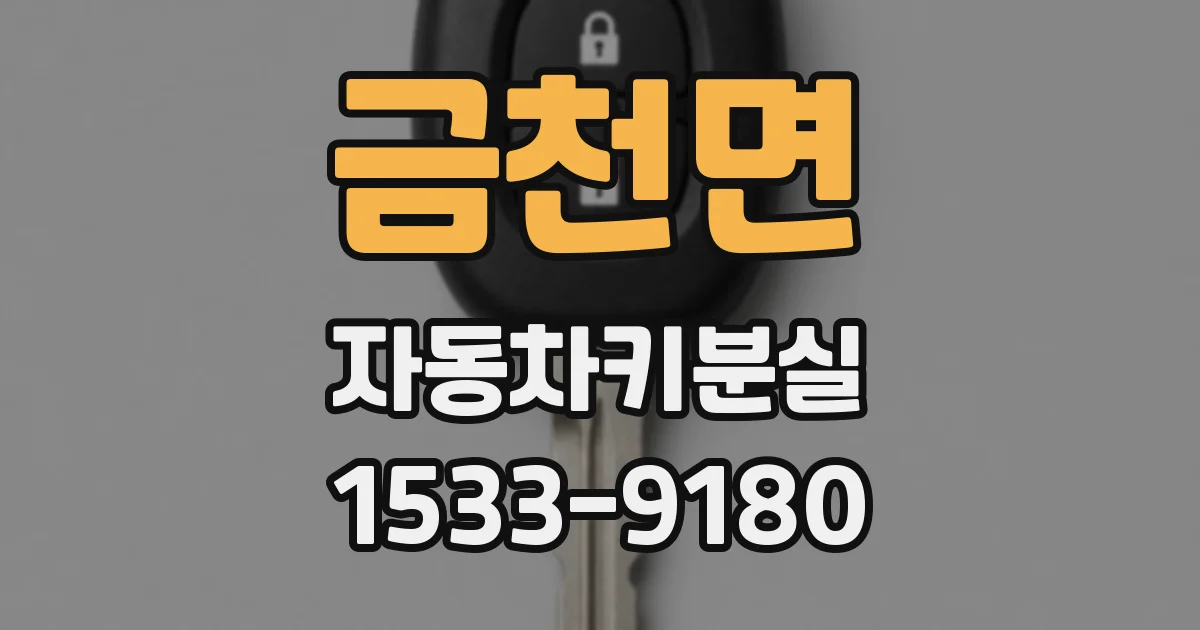 금천면 자동차키분실