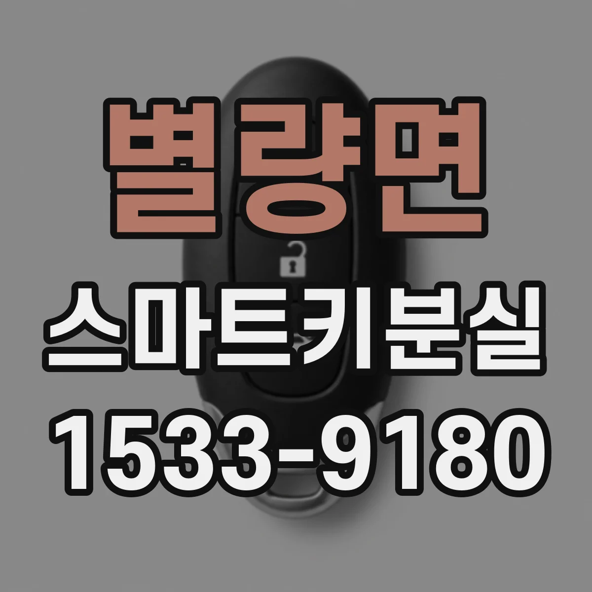 별량면 스마트키분실