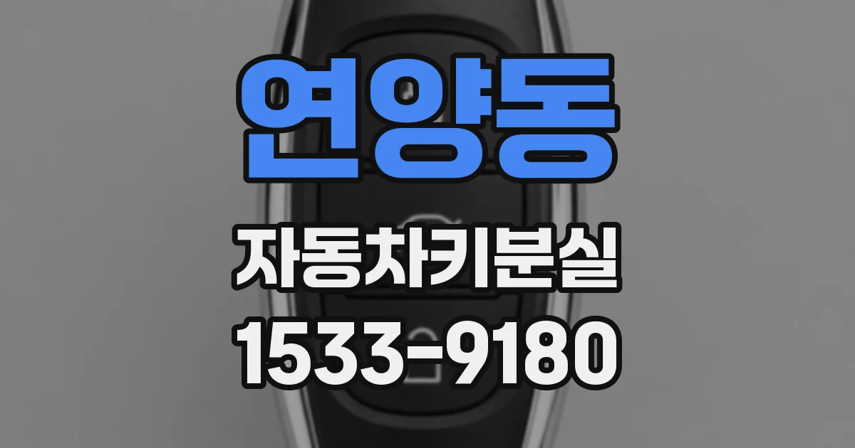 연양동 자동차키분실