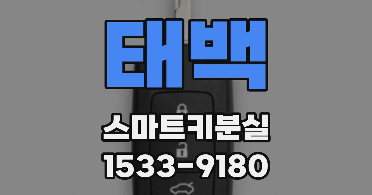 태백 스마트키분실
