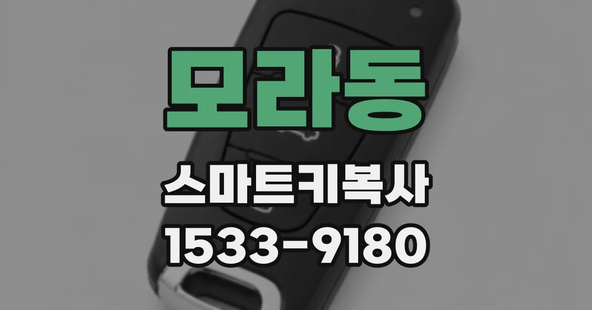 모라동 스마트키복사