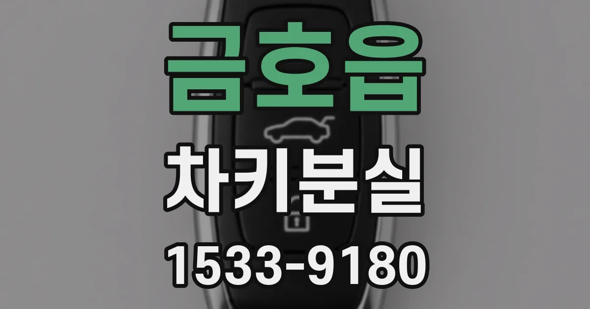 금호읍 차키분실