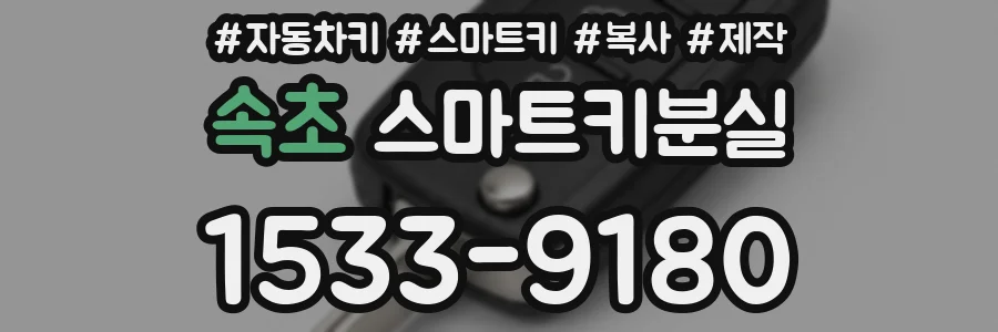 속초 스마트키분실