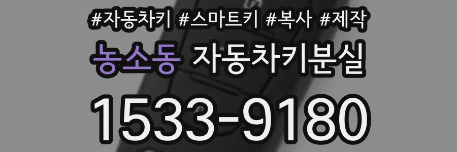 농소동 자동차키분실