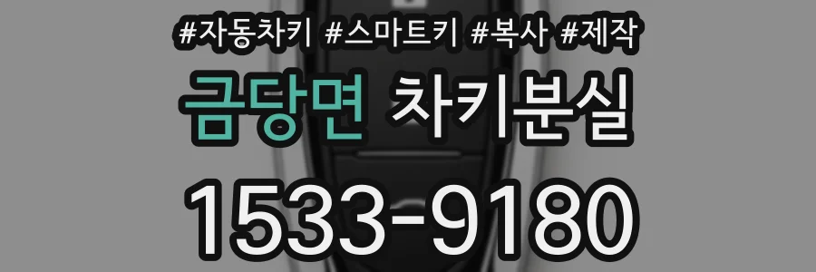 금당면 차키분실