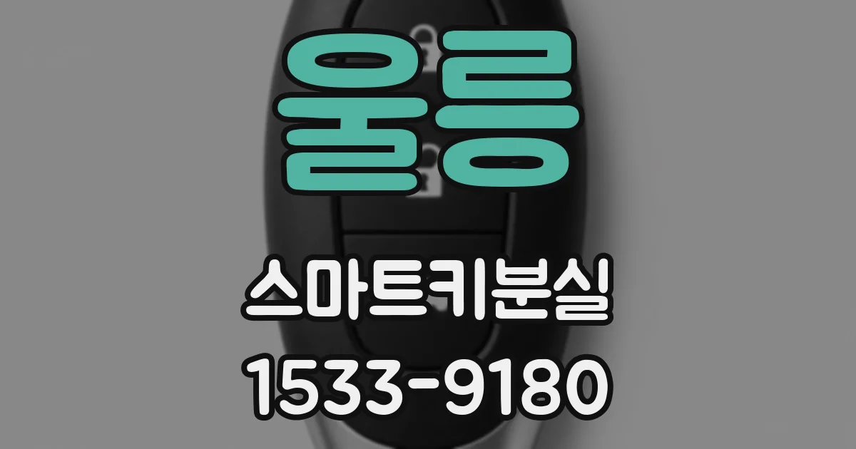 울릉 스마트키분실
