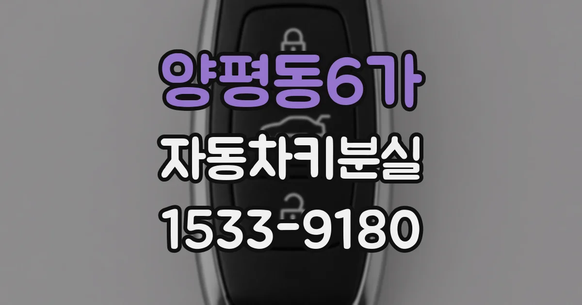 양평동6가 자동차키분실