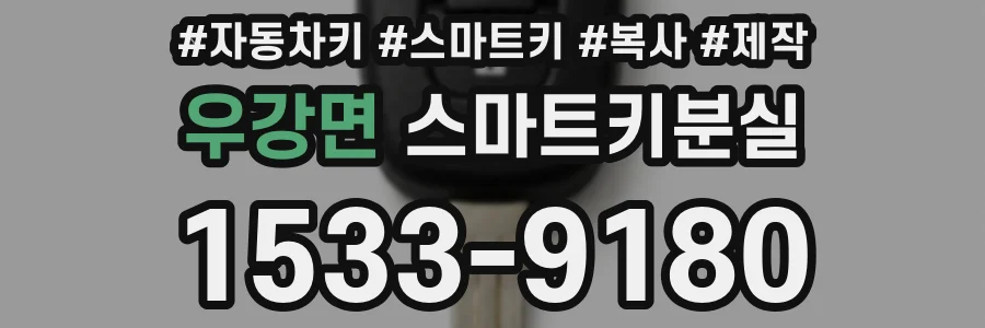 우강면 스마트키분실