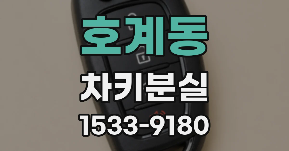 호계동 차키분실