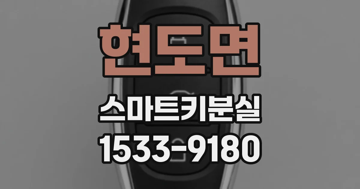 현도면 스마트키분실