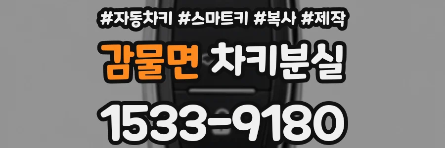 감물면 차키분실
