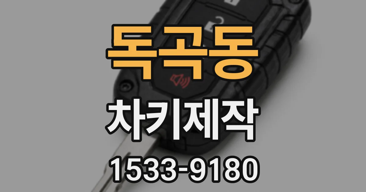 독곡동 차키제작
