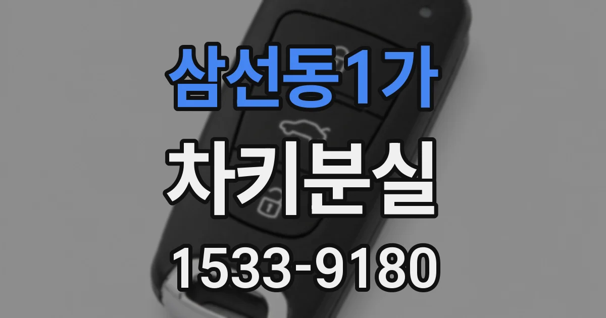 삼선동1가 차키분실