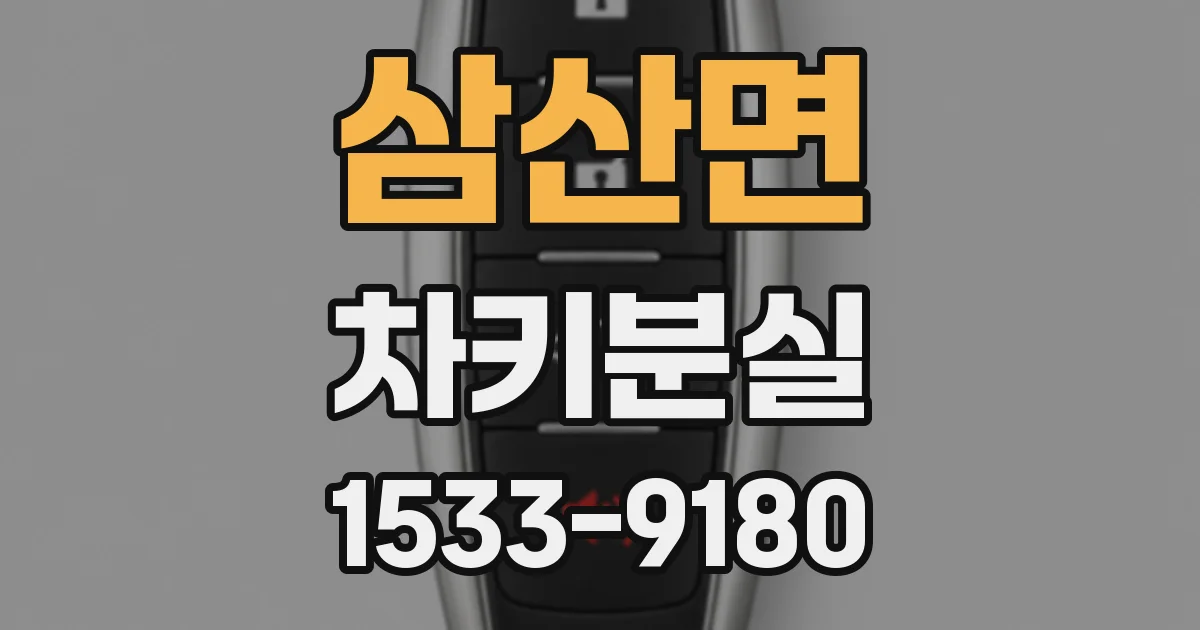 삼산면 차키분실