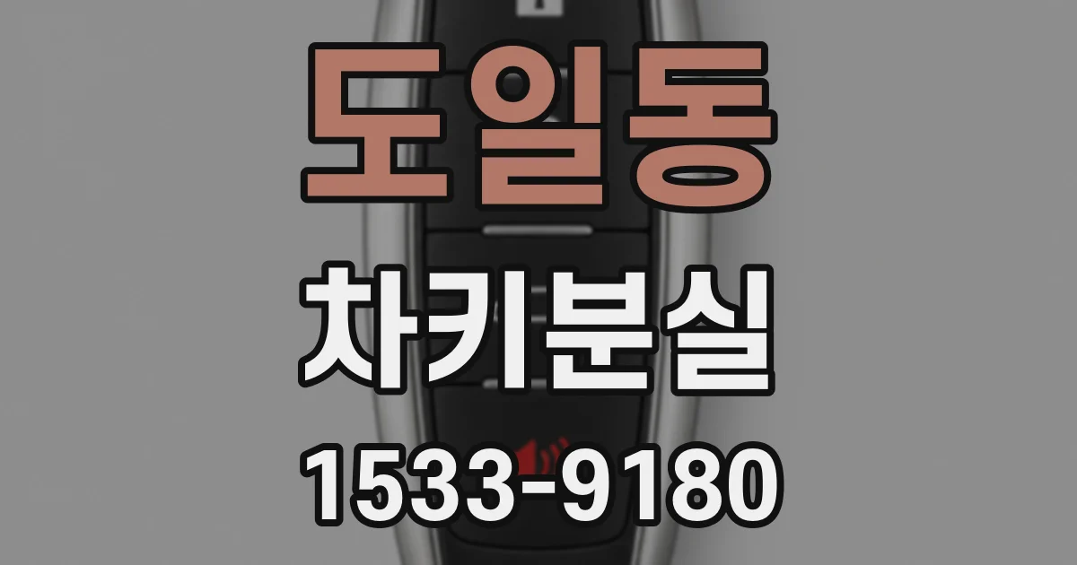 도일동 차키분실