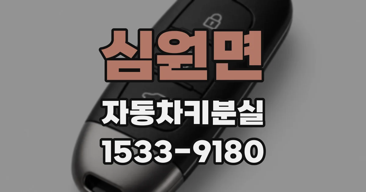 심원면 자동차키분실