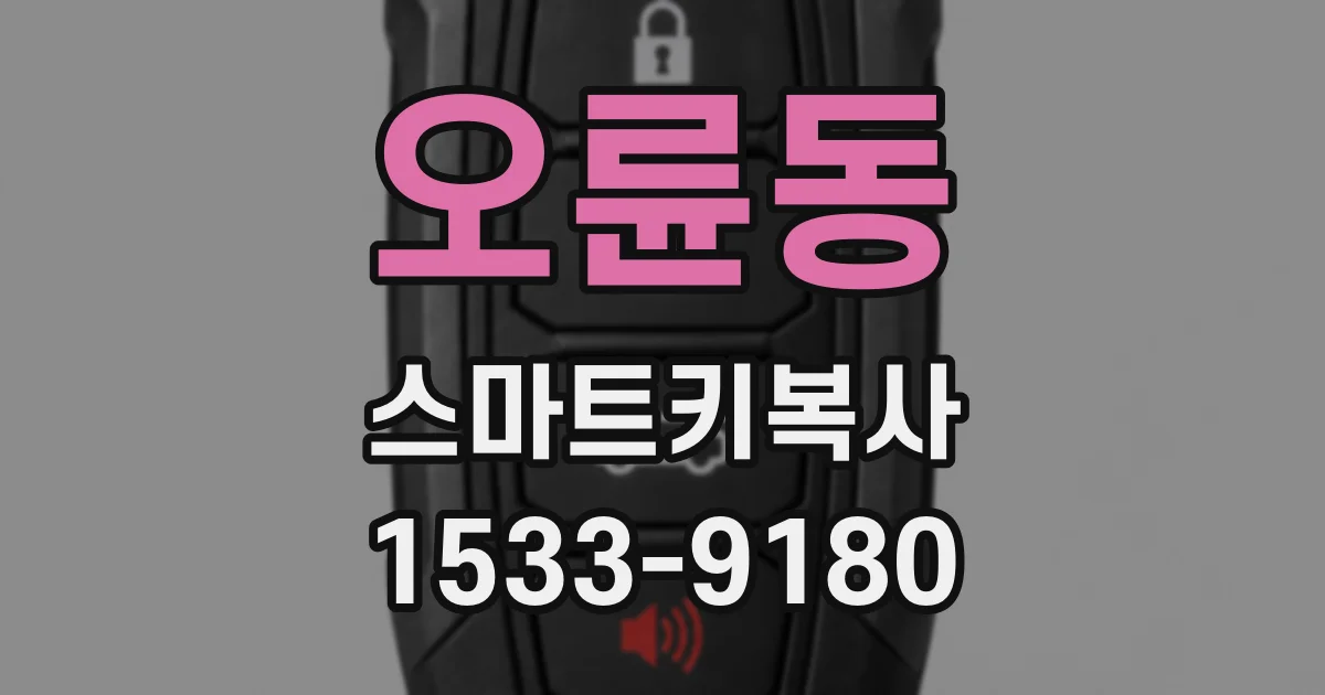 오륜동 스마트키복사