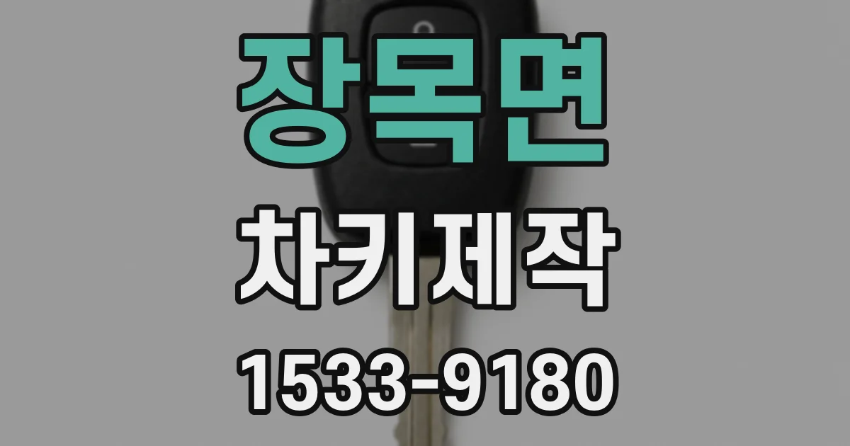 장목면 차키제작