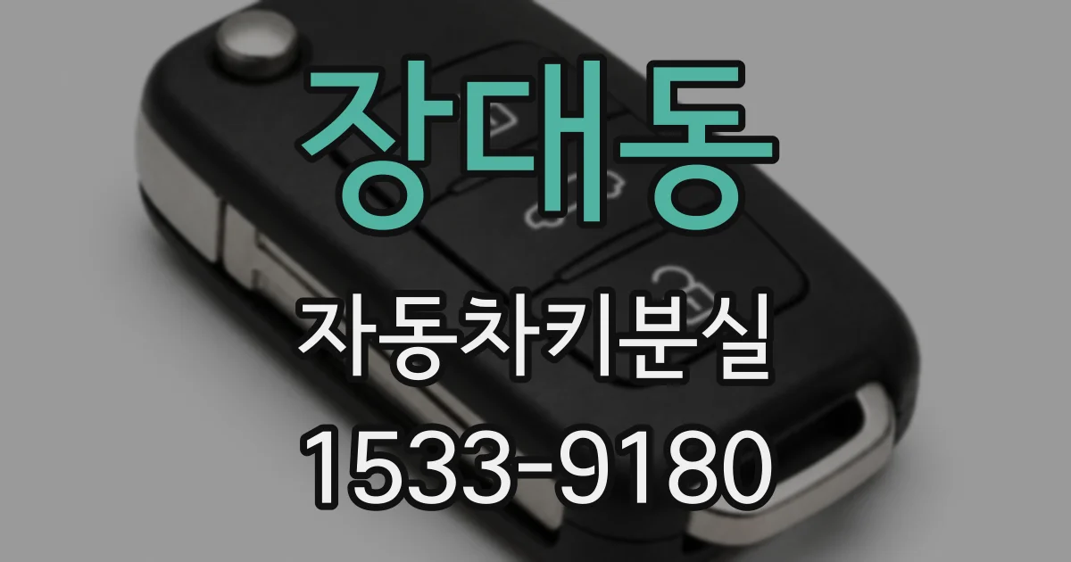 장대동 자동차키분실