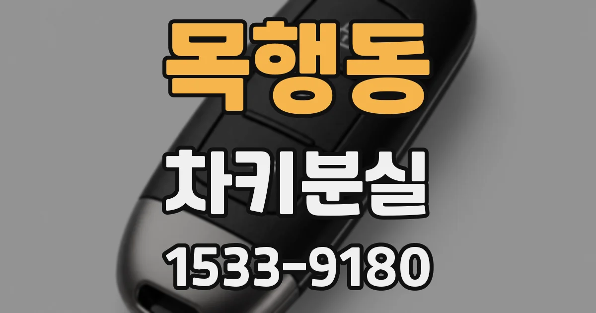 목행동 차키분실