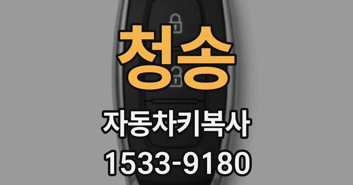 청송 자동차키복사