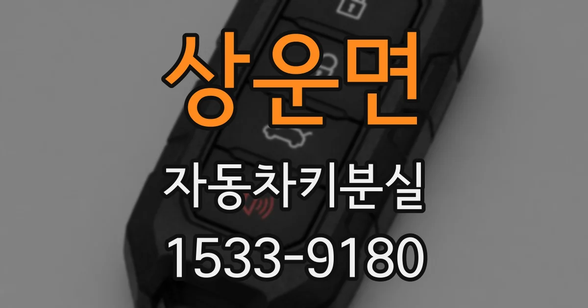 상운면 자동차키분실