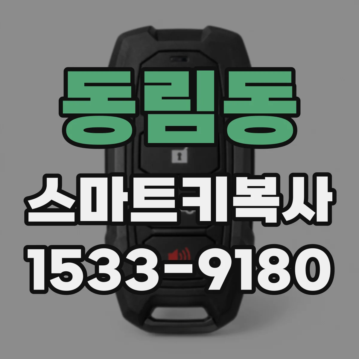 동림동 스마트키복사