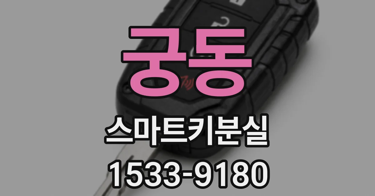 궁동 스마트키분실