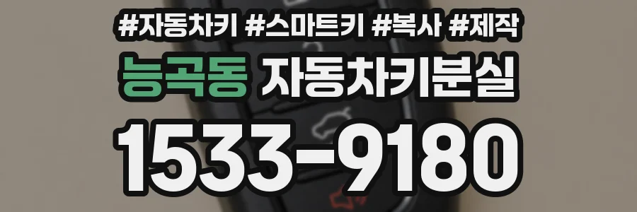 능곡동 자동차키분실
