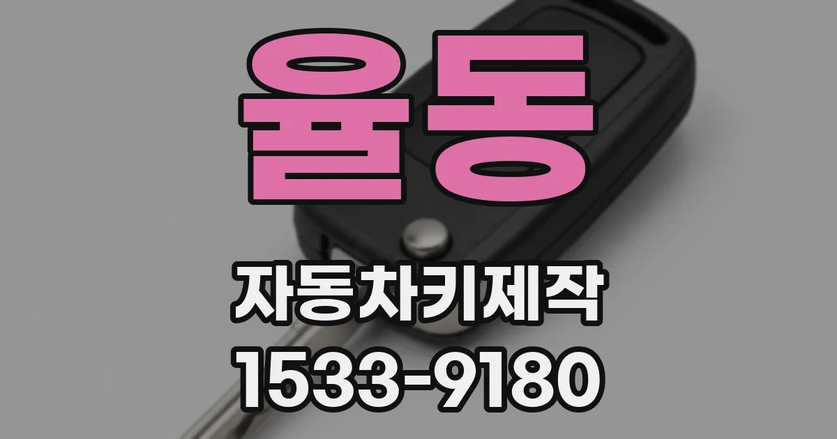 율동 자동차키제작