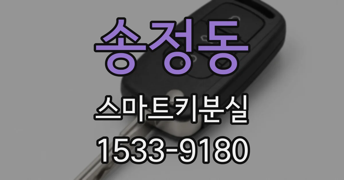 송정동 스마트키분실