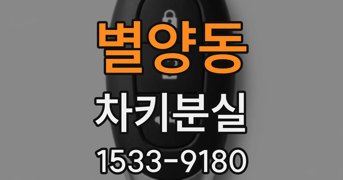 별양동 차키분실