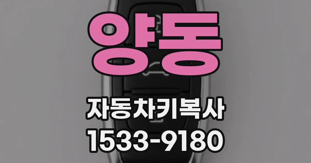 양동 자동차키복사