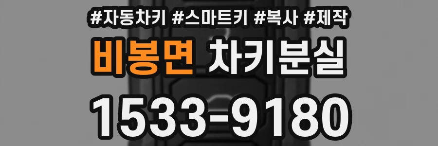 비봉면 차키분실