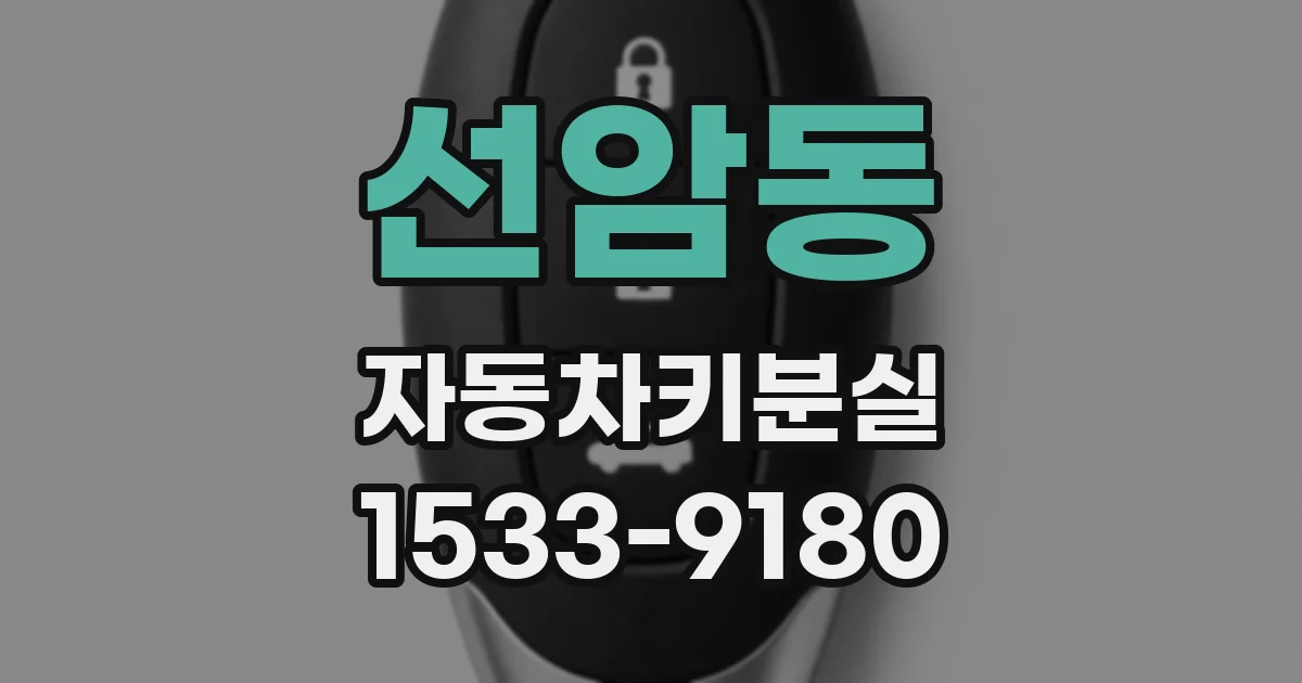 선암동 자동차키분실
