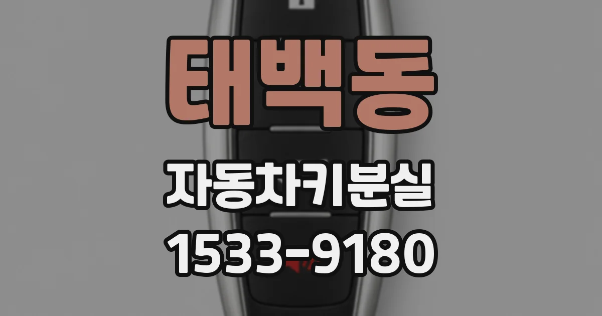 태백동 자동차키분실