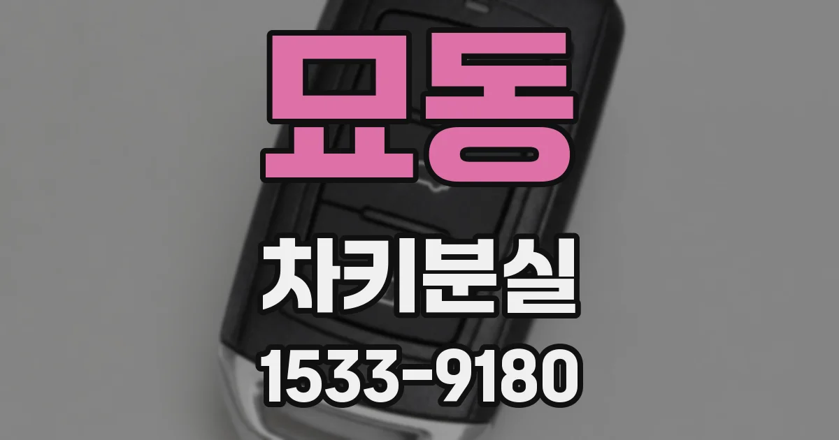 묘동 차키분실
