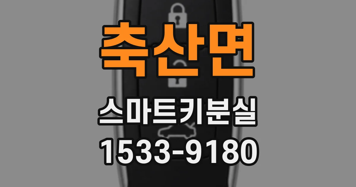 축산면 스마트키분실