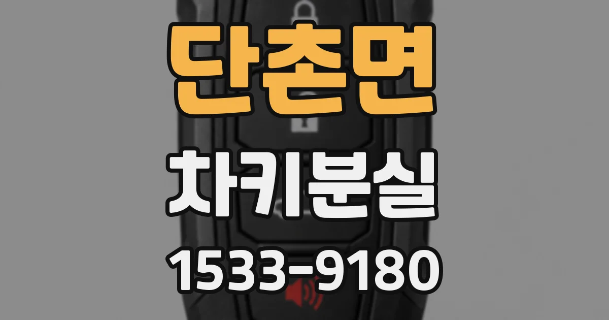 단촌면 차키분실