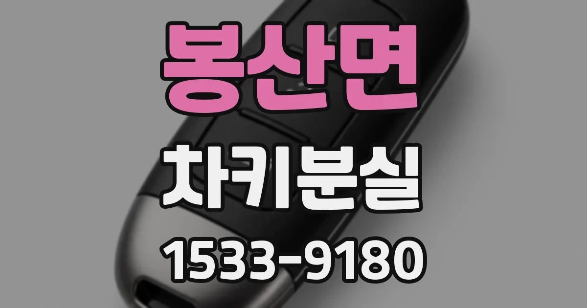 봉산면 차키분실