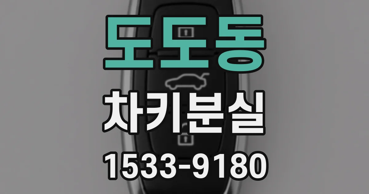 도도동 차키분실