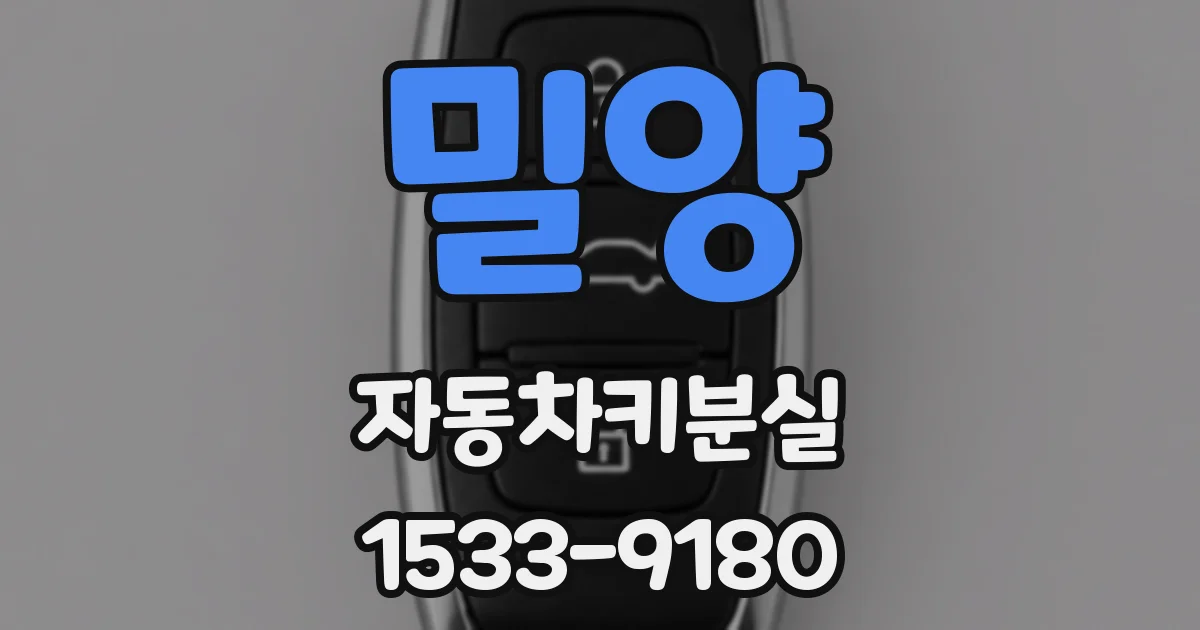 밀양 자동차키분실