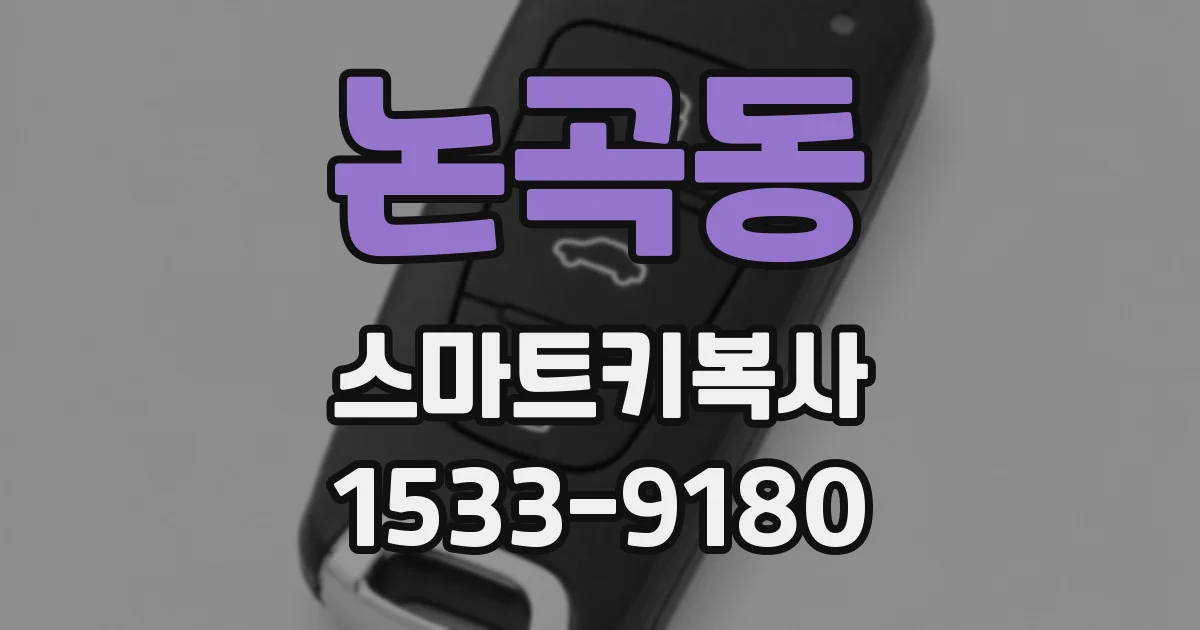논곡동 스마트키복사
