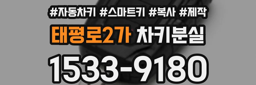 태평로2가 차키분실