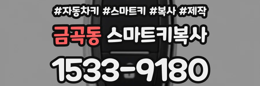 금곡동 스마트키복사