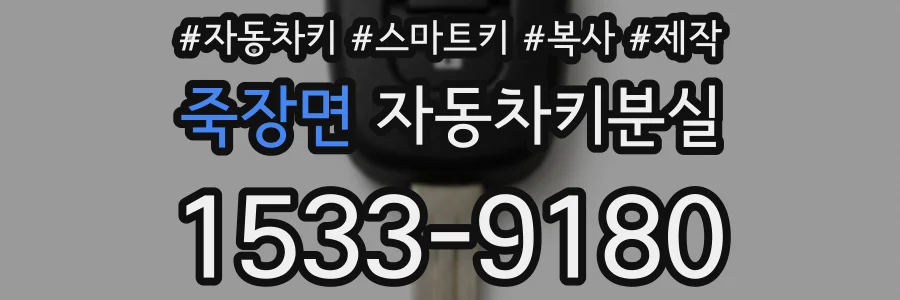 죽장면 자동차키분실