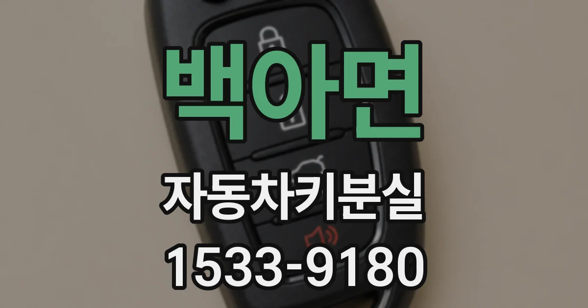 백아면 자동차키분실